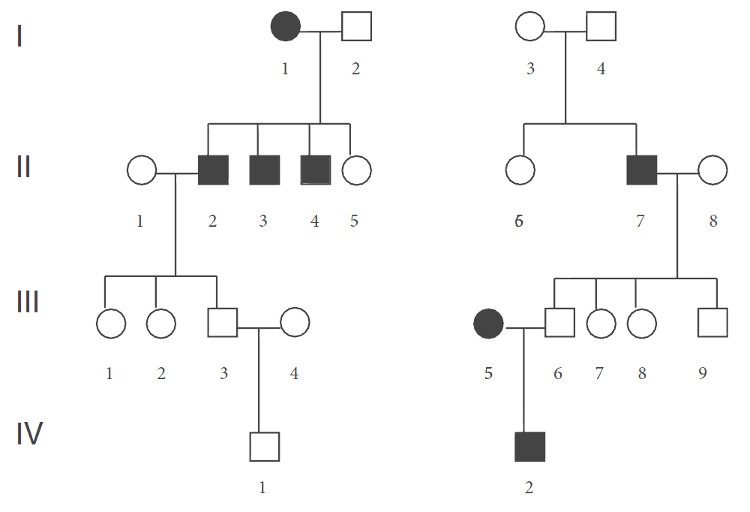 Figura 5. Hereditariedade de um alelo recessivo ligado ao cromossoma X.