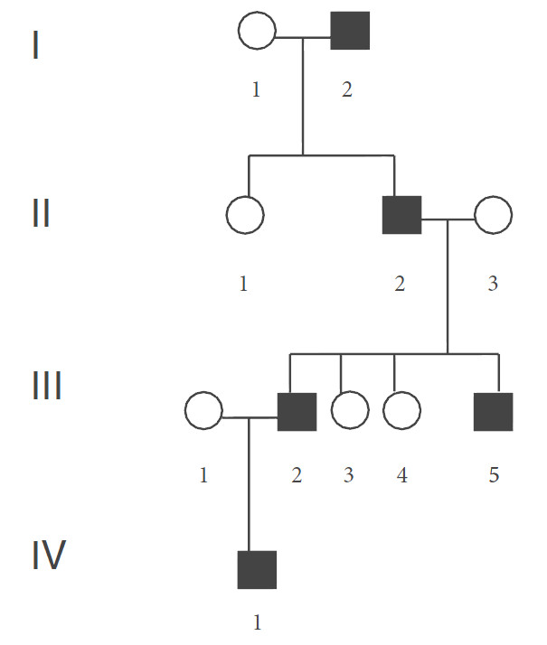 Figura 6. Hereditariedade de um alelo ligado ao cromossoma Y.