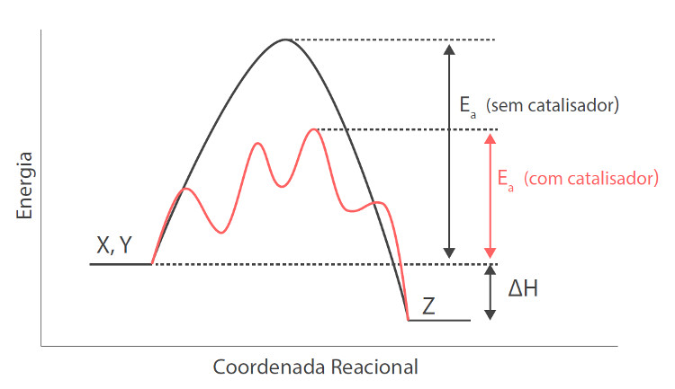 Figura 1. Comparação dos valores de energia de ativação de uma reação química hipotética
            X + Y → Z com e sem catalisador.