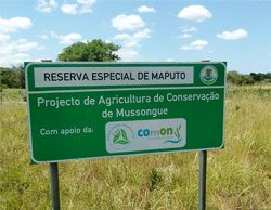Reserva Especial de Maputo