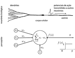 Perceptrões e redes neuronais artificiais