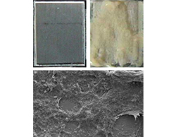 Biofilmes em superfícies industriais