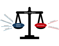 Espécies Reativas e Stress Oxidativo