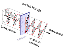 A experiência de Malus/Dirac no elab e a natureza quântica da luz