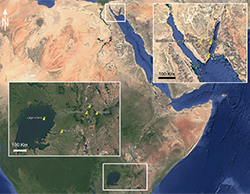 Da aridez do Sinai à savana queniana