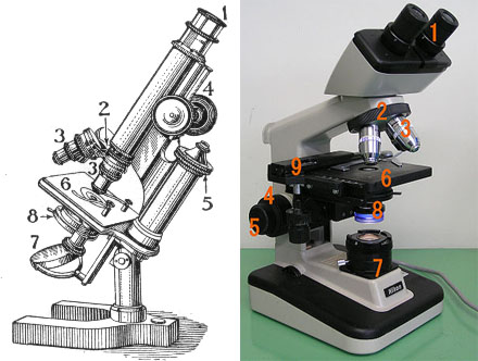 microscopio - Relembrando e Reafirmado as peças e partes de um Microscópio Óptico 2013-007-02