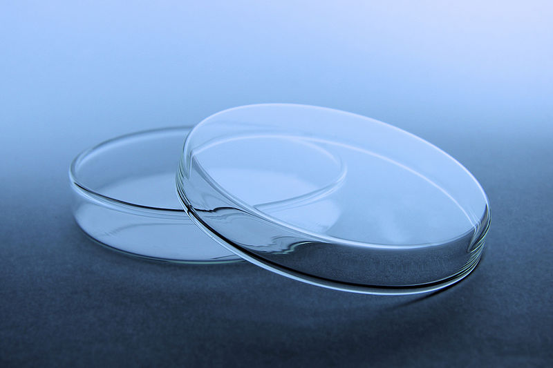 Figura 1. Duas placas de Petri.