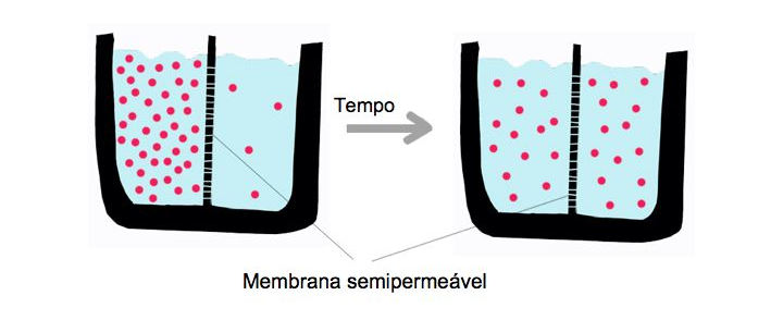 Figura 1. Difusão simples através de uma membrana semipermeável.