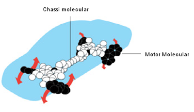 Chassi e motor molecular
